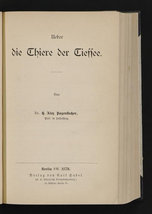 Zur Seitenansicht